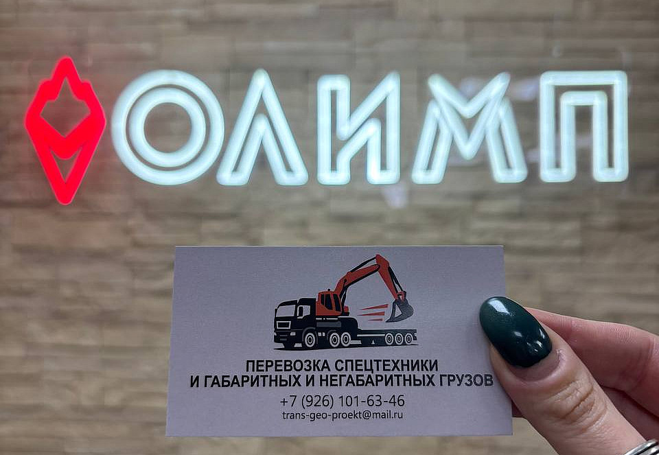 Наше портфолио - Визитки для компании "Трансгеопроект"